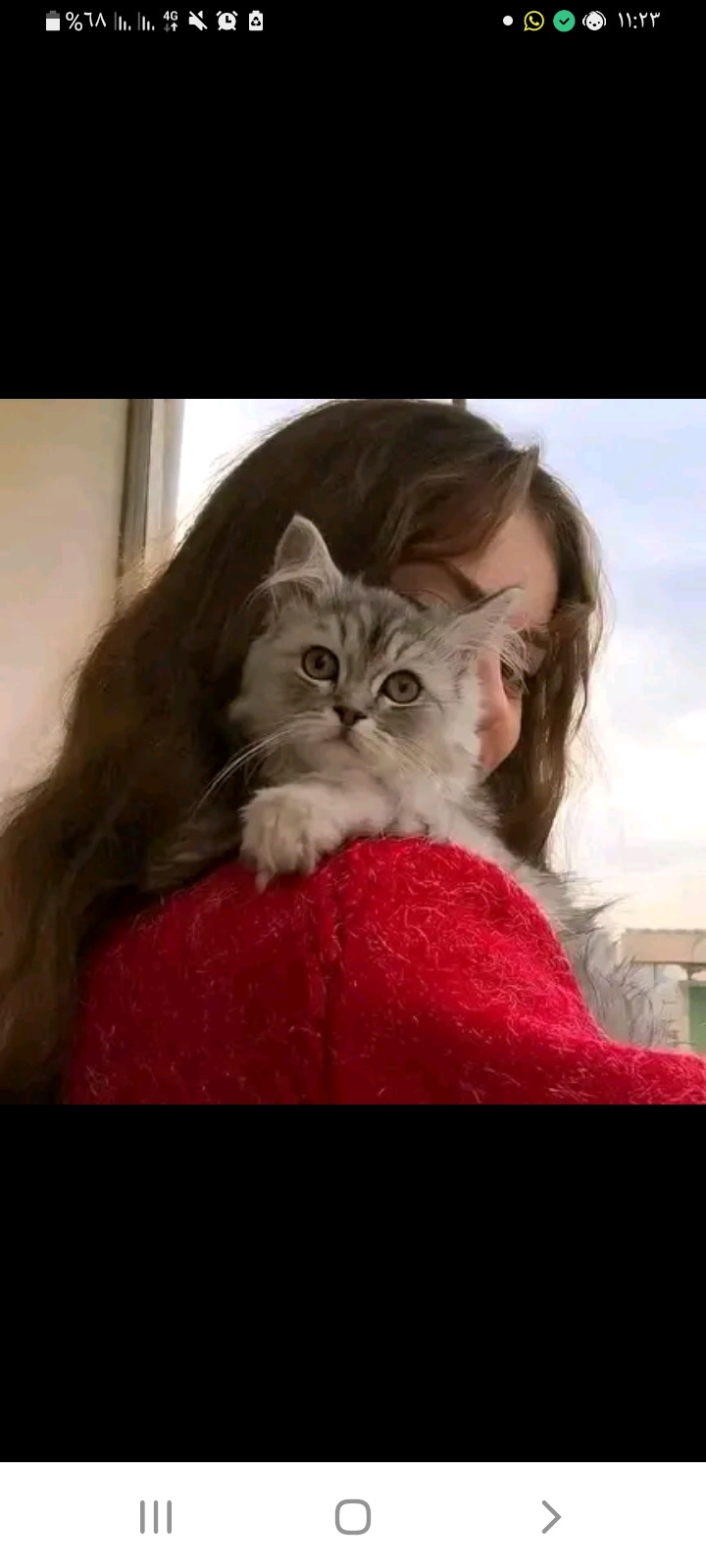 ���� ����_DiIoo