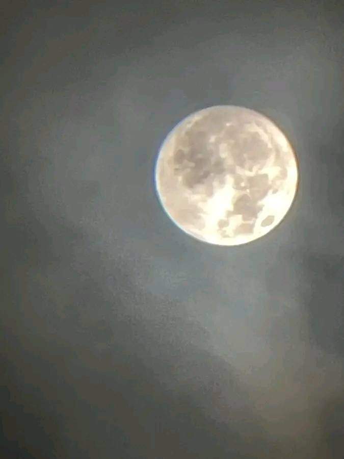 Hamed Musa_DOIDr