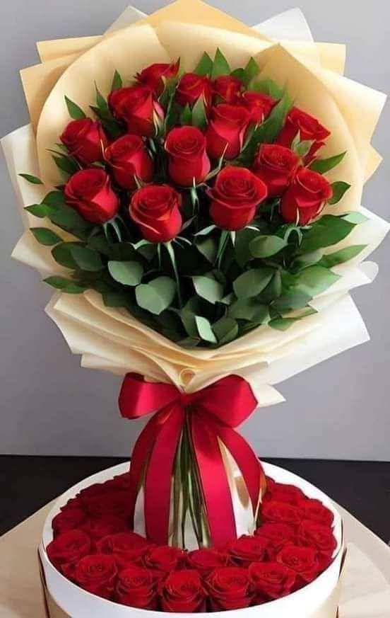 ���� ���� ���� ���_jeORG