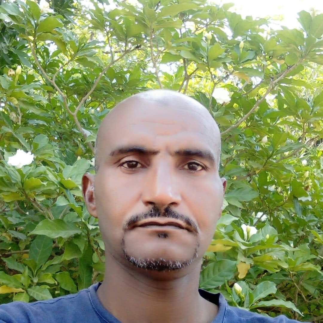 ���� ����_fVsO1