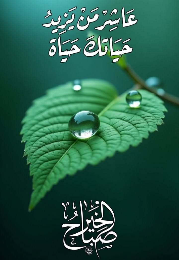 mosab altoum_incUv